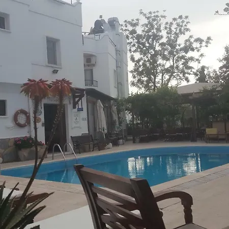 Seaside Hotel